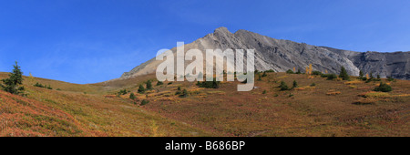 Grasbewachsenen Ptarmigan Cirque Trail am Highwood pass in Kananaskis Country, Alberta Stockfoto