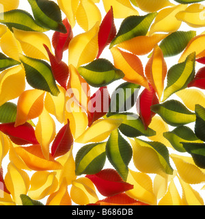 Bunte Nudeln Stockfoto