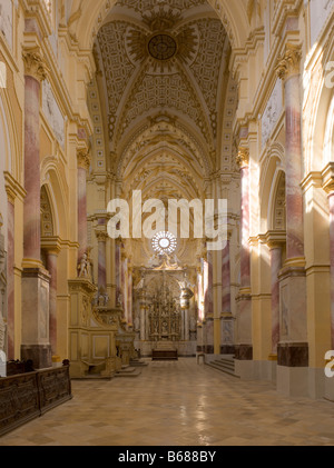 Ebrach Im Steigerwald, Zisterzienserkloster, Klosterkirche, Blick Nach Westen Stockfoto