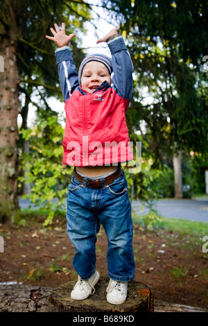 Kleiner Junge mit erhobenen Armen stehend auf einem Baumstumpf Deutschland September 2008 Stockfoto