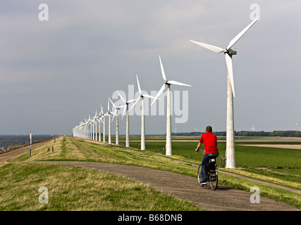 Mann, Radfahren am Deich bei Essent Windpark Westermeerdijk Niederlande Stockfoto