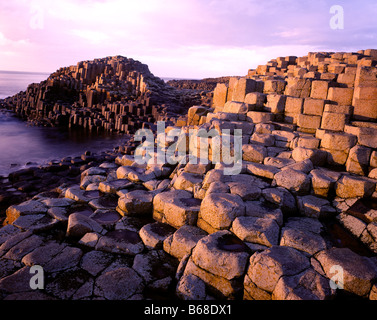 Giants Causeway, Nordirland, Vereinigtes Königreich, Giants Causeway Nationalpark September County Antrim Basalt Felsformationen Stockfoto