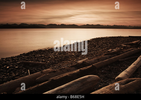 Treibholz auf Rebecca Spit Quadra Island bei Sonnenaufgang Stockfoto