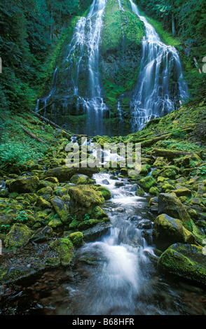 Lower Proxy Falls drei Schwestern Wildnis Willamette National Forest Cascade Mountains Oregon