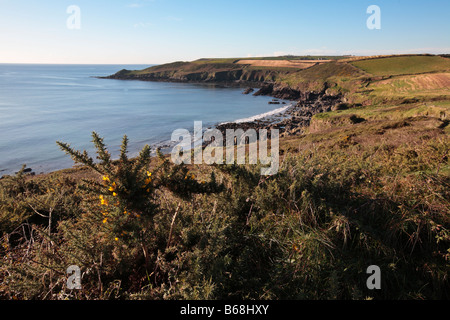 Irische Küste Stockfoto