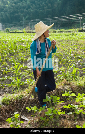 Landwirt steht in einem Feld, Emerald Valley, Huangshan, Anhui Provinz, China Stockfoto
