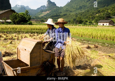 Zwei Bauern in einem Reisfeld Paddy Xingping, Yangshuo, Provinz Guangxi, China Stockfoto