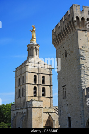 Avignon Kathedrale (Notre-Dame des Doms), Papstpalast (14. Jahrhundert), UNESCO-Weltkulturerbe, Avignon, Provence, Frankreich Stockfoto