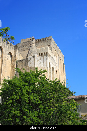 Papstpalast (14. Jahrhundert), UNESCO-Weltkulturerbe, Avignon, Provence, Frankreich Stockfoto