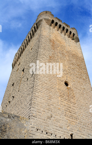 Pons de l Orme Turm (14. Jahrhundert), Montmajour Abtei, in der Nähe von Arles, Provence, Frankreich Stockfoto