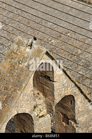 Dach von Montmajour Abtei (12. Jh.), in der Nähe von Arles, Provence, Frankreich Stockfoto