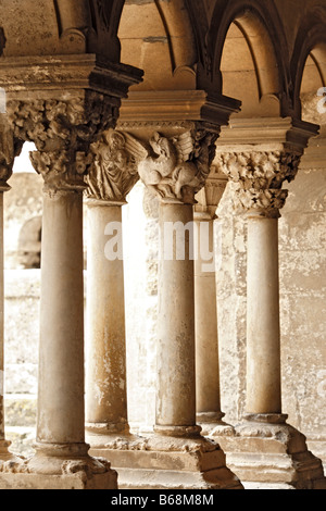 Stein-romanische Skulptur, Kreuzgang von Montmajour Abtei (12. Jh.), in der Nähe von Arles, Provence, Frankreich Stockfoto