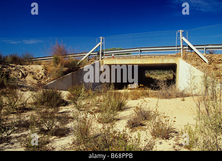 Straße Unterführung für Iberische Luchs Coto de Donana Nationalpark Spanien Stockfoto