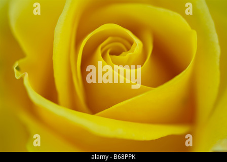 Rosa Freiheit Stockfoto