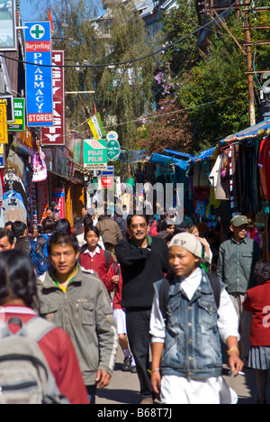 Eine belebte Straße in Darjeeling, Westbengalen, Indien Stockfoto