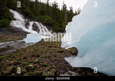 USA Alaska Tongass National Forest Tracy Arm Furten Terror Wildnis Eisberg vom Dawes Gletscher links vom Wasserfall gestrandet Stockfoto