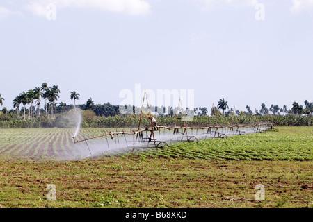 Bewässerungsanlagen. Landschaft, Kuba. Karibik. Stockfoto