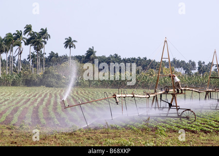 Bewässerungsanlagen. Landschaft, Kuba. Karibik. Stockfoto