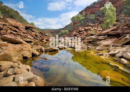 Murchison River fließt durch den Tumblagooda Sandstein Schluchten des Kalbarri National Park im mittleren Westen Western Australia Stockfoto