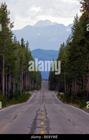 89/287 Autobahn in der Nähe von Elche fällt, Yellowstone-Nationalpark; Wyoming; USA.  Grand Teton National Park in der Ferne. Stockfoto