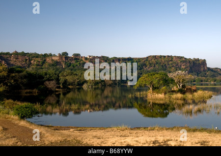 Ranthambore Nationalpark. Rajasthan. Indien Stockfoto