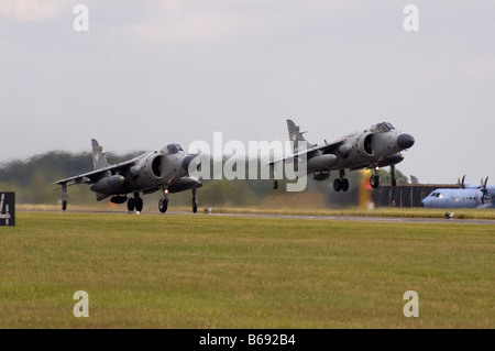 BAe Sea Harrier Stockfoto