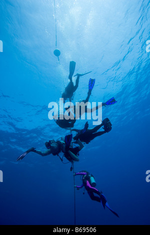 Cayman-Inseln Grand Cayman Insel Herr Taucher Schwimmen im karibischen Meer Stockfoto