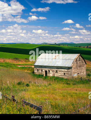 WASHINGTON - alte Scheune unter der hügeligen Feldern in der Palouse Region Eastern Washington. Stockfoto