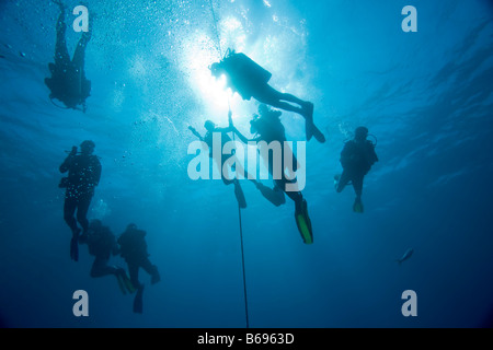 Bahamas Grand Bahama Island Freeport Unterwasserblick Taucher während Sicherheit 30 Füße Abblenden in Karibik Stockfoto