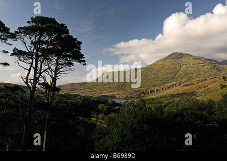 Connemara Mweelrea Berg in der Nähe von Lettergesh County Galway westlich von Irland irische Landschaft Szene Stockfoto