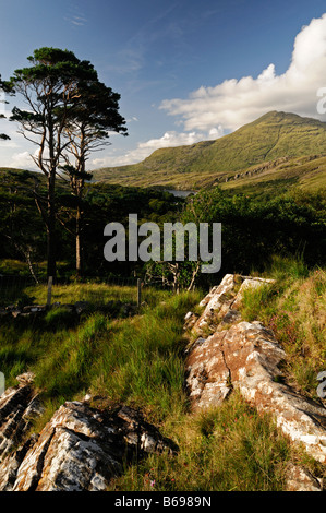 Connemara Mweelrea Berg in der Nähe von Lettergesh County Galway westlich von Irland irische Landschaft Szene Stockfoto