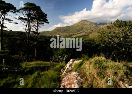 Connemara Mweelrea Berg in der Nähe von Lettergesh County Galway westlich von Irland irische Landschaft Szene Stockfoto