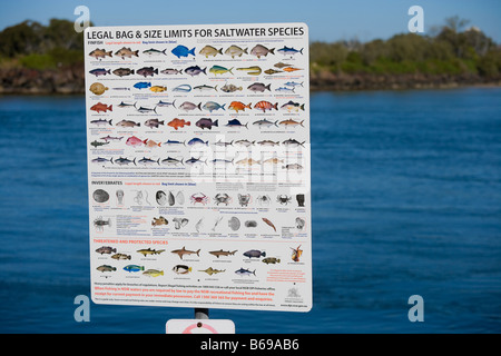 Rechtliche Tasche und Größe Grenzwerte für Seefische Angeln an der Australian Pacific Ocean Gold Coast Coolangatta und Tweed Heads Stockfoto