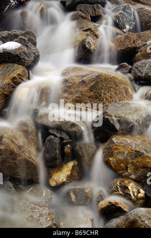 Winter-Abfluss von Wilcox Pass in Jasper Nationalpark Alberta Kanada Stockfoto