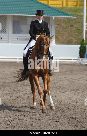 Weibliche Dressur-Reiter Stockfoto