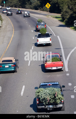 Reihe von Autos Trucks und SUVs auf der Autobahn fahren und schleppen Weihnachtsbäume auf den Dächern und auf der Rückseite in den Ferien Stockfoto