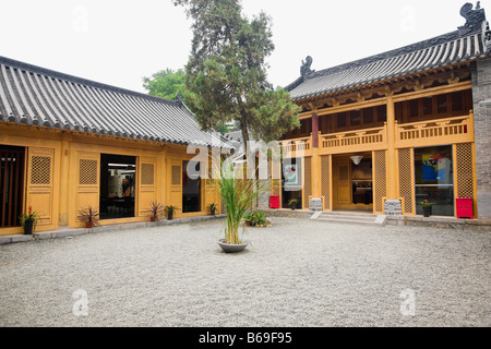 Topfpflanze in einem Innenhof, Shaolin-Kloster, Provinz Henan, China Stockfoto