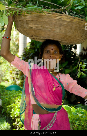 Ländliche Frau, Rajasthan, Indien Stockfoto