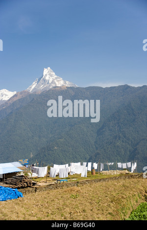 Fishtail Berg und waschen auf einer Linie von Ghandruk Dorf im Bereich Annapurna, Himalaya, Nepal Stockfoto