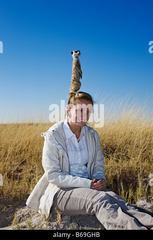 Suricate Meerkat Suricata Suricatta thront auf Kopf des touristischen, Höhe um den Bereich für Raubtiere Makgadikgadi Salzpfannen Scannen zu gewinnen Stockfoto