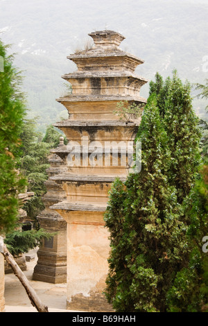 Pagoden in einem Wald, Pagode Wald, Shaolin-Kloster, Provinz Henan, China Stockfoto