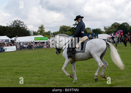 Spanische Dressur auf der Romsey Show 2008 Stockfoto