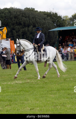 Spanische Dressur auf der Romsey Show 2008 Stockfoto