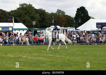 Spanische Dressur auf der Romsey Show 2008 Stockfoto