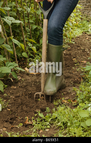 Ein Schuss zur Veranschaulichung in einem Garten zu graben Stockfoto