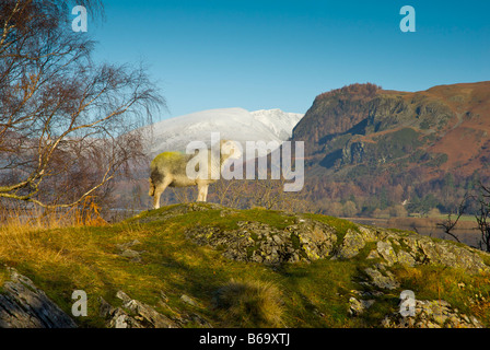 Herdwick Schafe in der Nähe von Ufer des Derwent Water, mit Blencathra im Hintergrund, Nationalpark Lake District, Cumbria, England UK Stockfoto