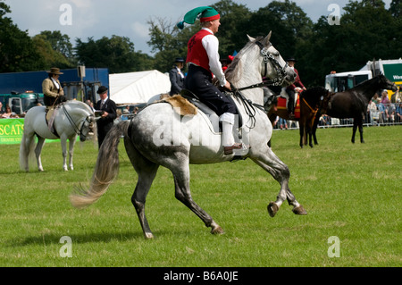 Spanische Dressur auf der Romsey Show 2008 Stockfoto