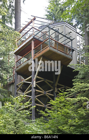 Kanada Canada BC Brittische British Columbia Vancouver Capilano River in der Nähe Nahe Hängebrücke Stockfoto