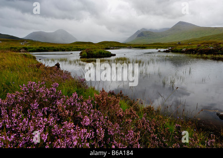 Heather wachsen neben kleinen Loch mit Nebel gehüllt Bergen im Hintergrund Rannoch Moor Schottland Stockfoto