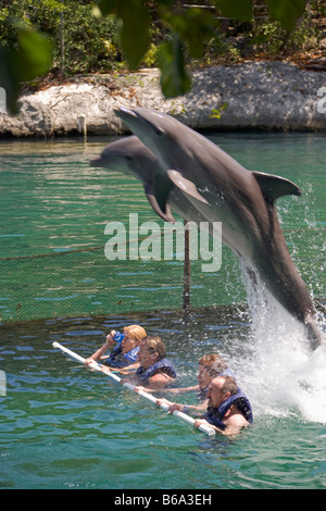 Mexiko, Quintana Roo, Xel Ha, Xel-Ha Natur / marine park, Touristen, mit Delfinen zu schwimmen. Stockfoto